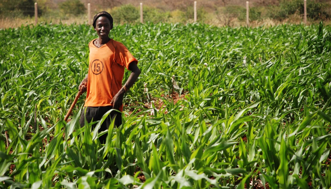 Young Farmers